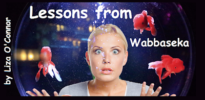 Lessons from Wabbaseka By Liza O’Connor